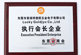 執(zhí)行會(huì)長(zhǎng)企業(yè)