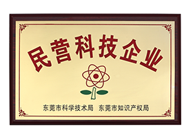 民營(yíng)科技企業(yè)