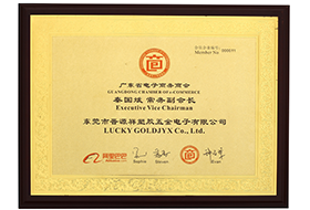 廣東省電子商務(wù)商會(huì)常務(wù)副會(huì)長(zhǎng)