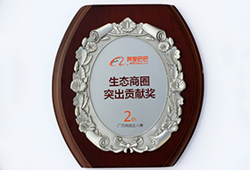 生態(tài)商圈突出貢獻(xiàn)獎(jiǎng)